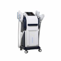 2 in 1 360 cryolipolysis  emsculpt body shaping machine