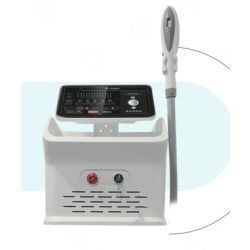 DPL 2025